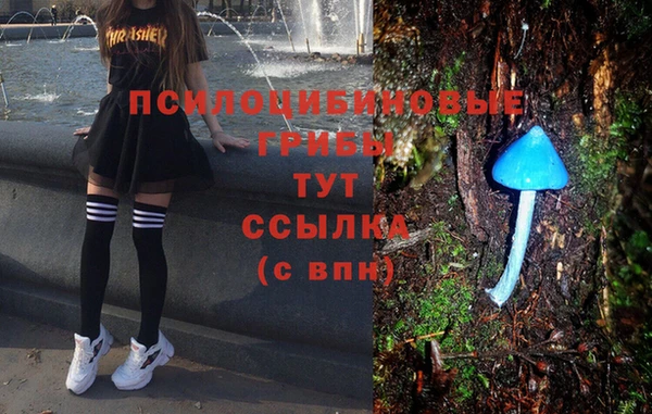 эйфоретик Ростов