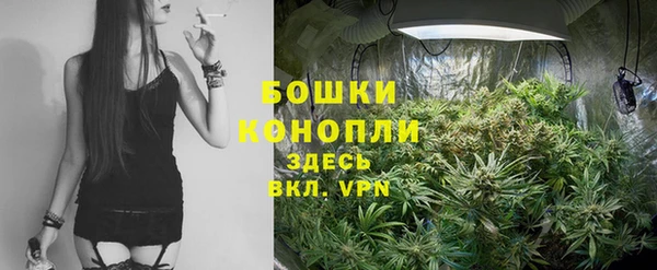 PSILOCYBIN Белоозёрский