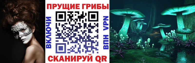 как найти наркотики  Чердынь  Галлюциногенные грибы Cubensis 